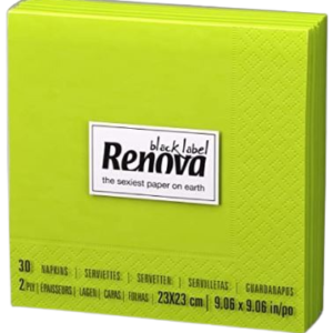Guardanapos RENOVA Green Tipo B x36 CXA